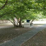 Kirayə (günlük) 3 otaqlı Həyət evi/villa Qəbələ 10