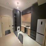 Аренда 2 комнатная Новостройка, Nizami метро, Насими район 9