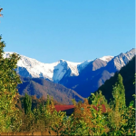 Satılır Torpaq İsmayıllı 2