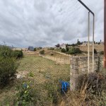 Satılır Torpaq Şamaxı 1