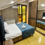 Kirayə (günlük) 4 otaqlı Həyət evi/villa Qəbələ 18