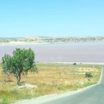 Продажа Участок, Абшерон район 12