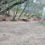 Kirayə (günlük) 4 otaqlı Həyət evi/villa Quba 4