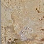 Продажа Участок, пос. Сахиль, Парк Сахиль, Гарадаг район 2