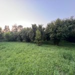 Satılır 3 otaqlı Həyət evi/villa Balakən 13