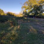 Satılır 3 otaqlı Həyət evi/villa Oğuz 14