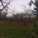 Satılır 4 otaqlı Bağ evi Xaçmaz 2