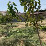 Satılır 2 otaqlı Bağ evi, Fatmayi, Abşeron rayonu 2