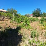 Satılır Torpaq, Novxanı, Abşeron rayonu 13
