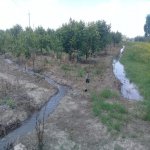 Satılır Torpaq Ağstafa 7