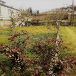 Satılır Torpaq, Sabunçu qəs., Sabunçu rayonu 5