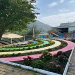 Kirayə (günlük) 6 otaqlı Həyət evi/villa Qax 9