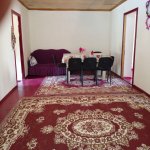 Kirayə (günlük) 2 otaqlı Həyət evi/villa Lerik 2