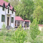 Kirayə (günlük) 4 otaqlı Həyət evi/villa İsmayıllı 1