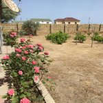 Satılır Torpaq, Novxanı, Abşeron rayonu 3