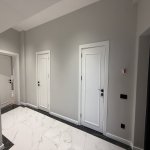 Kirayə (aylıq) 4 otaqlı Yeni Tikili, Ulduz metrosu, Montin qəs., Şəfa stadionu, Nərimanov rayonu 24