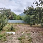 Satılır Torpaq Qəbələ 1