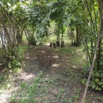 Kirayə (günlük) 3 otaqlı Həyət evi/villa Qax 12