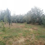 Satılır Torpaq Quba 5