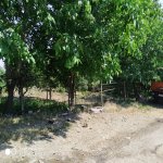 Satılır Torpaq Şamaxı 3