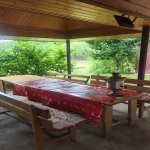 Kirayə (günlük) 2 otaqlı Bağ evi Quba 5