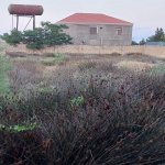 Satılır 7 otaqlı Həyət evi/villa, Azadlıq metrosu, Pirşağı qəs., Sabunçu rayonu 14