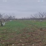 Satılır Torpaq Xaçmaz 2