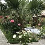 Kirayə (aylıq) 10 otaqlı Bağ evi, Mərdəkan, Xəzər rayonu 12
