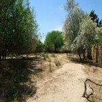 Satılır Torpaq, Goradil, Abşeron rayonu 1