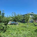 Kirayə (günlük) 4 otaqlı Həyət evi/villa İsmayıllı 22