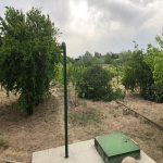 Продажа 6 комнат Дача, Шювалан, Хязяр район 41