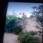 Satılır 4 otaqlı Həyət evi/villa, Azadlıq metrosu, Binəqədi qəs., Binəqədi rayonu 9