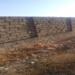 Satılır Torpaq, Saray, Abşeron rayonu 1