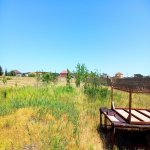 Satılır Torpaq, Goradil, Abşeron rayonu 3