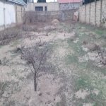 Продажа Участок, Новханы, Абшерон район 5