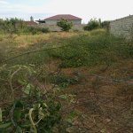 Продажа Участок Губа 2