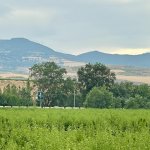 Продажа Объект Шабран 22