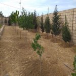 Satılır Torpaq, Masazır, Abşeron rayonu 3