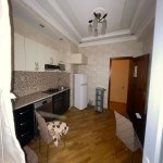 Kirayə (aylıq) 2 otaqlı Yeni Tikili, Nəsimi metrosu, Binəqədi rayonu 7