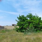 Продажа Участок, пос. Билгях, Сабунчу район 3