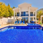 Kirayə (günlük) 4 otaqlı Həyət evi/villa Qəbələ 1