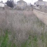 Satılır Torpaq, Mərdəkan, Xəzər rayonu 6