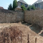 Продажа Участок, Новханы, Абшерон район 3