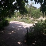 Kirayə (aylıq) 4 otaqlı Bağ evi, Pirşağı qəs., Sabunçu rayonu 21