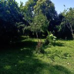 Kirayə (günlük) 3 otaqlı Bağ evi Qəbələ 13