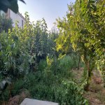 Satılır 3 otaqlı Bağ evi, Digah, Abşeron rayonu 13