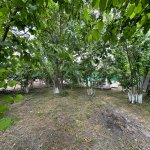Kirayə (günlük) 3 otaqlı Həyət evi/villa Xaçmaz / Nabran 4