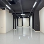 Kirayə (aylıq) 1 otaqlı Bağ evi, Gənclik metrosu, Nərimanov rayonu 1