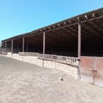 Satılır Torpaq Qobustan 4