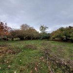Satılır 3 otaqlı Həyət evi/villa Oğuz 3